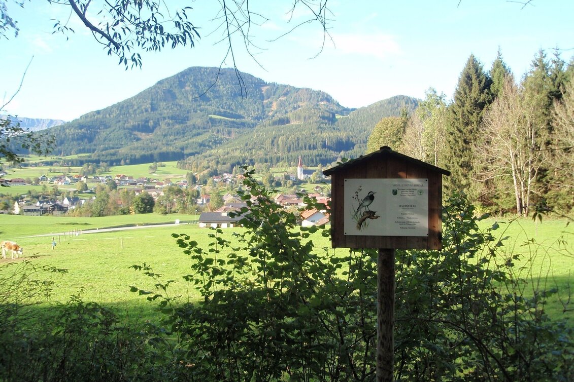 Theme path Birds' Educational Trail in Turnau - Touren-Impression #1 | © TV Hochsteiermark