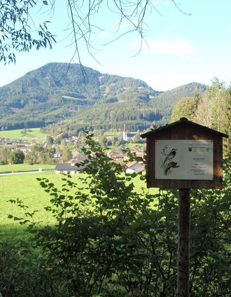 Vogellehrpfad | Rust | © TV Hochsteiermark