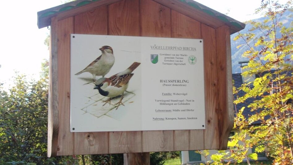 Theme path Birds' Educational Trail in Turnau - Touren-Impression #2.2 | © TV Hochsteiermark