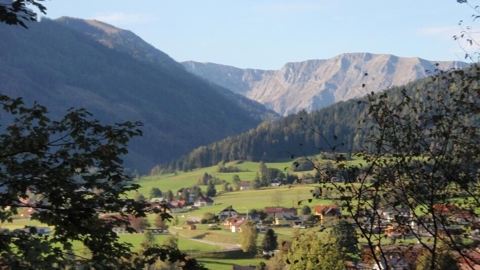 Theme path Birds' Educational Trail in Turnau - Touren-Impression #2.4 | © TV Hochsteiermark