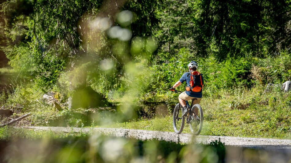 Mountain Biking LE 05 Veitsbergrunde - Touren-Impression #2.1 | © Jesse Streibl