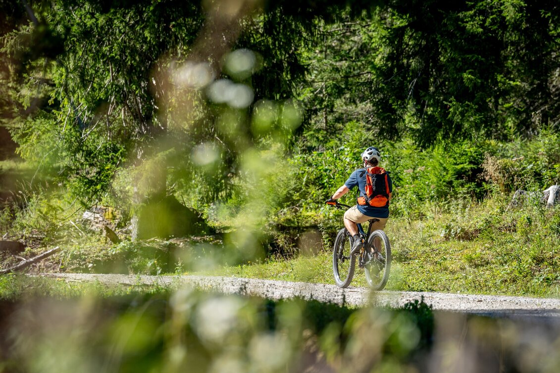Mountain Biking LE 05 Veitsbergrunde - Touren-Impression #1 | © Jesse Streibl