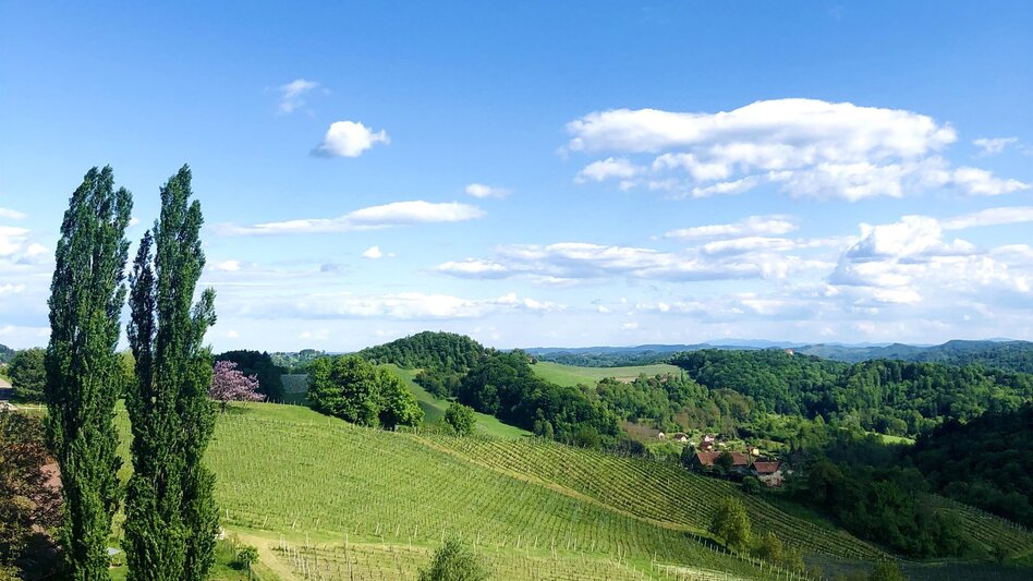 Hiking route Kleeblattwanderweg Nr. 3b - Touren-Impression #2.2 | © Hanna Prumofsky