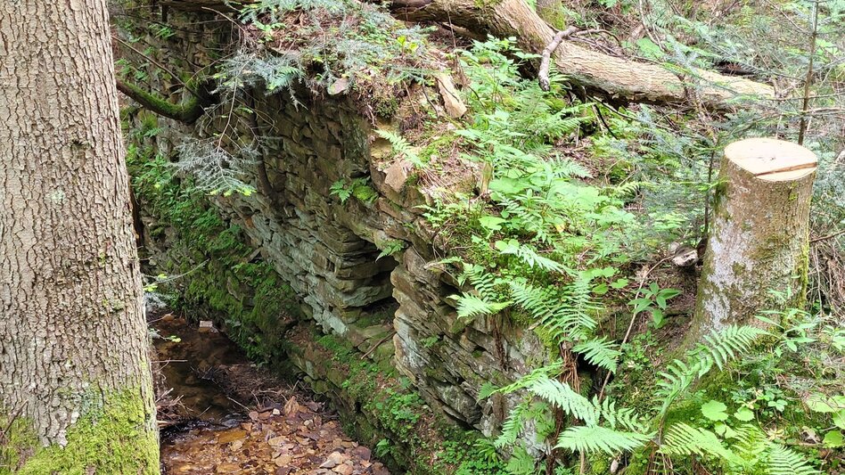 Wanderung Sommerebenrundweg Nr. 58 - Touren-Impression #2.2 | © TVB Südsteiermark/Irene Löschnig