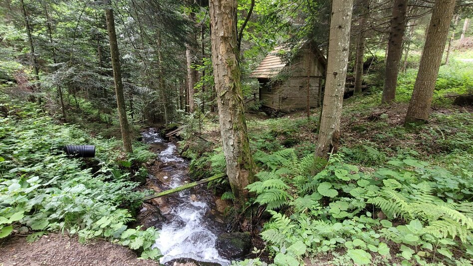 Wanderung Sommerebenrundweg Nr. 58 - Touren-Impression #2.3 | © TVB Südsteiermark/Irene Löschnig