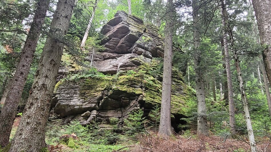 Wanderung Sommerebenrundweg Nr. 58 - Touren-Impression #2.4 | © TVB Südsteiermark/Irene Löschnig