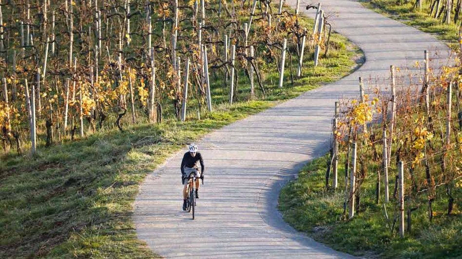 Road Cycling Weinstraßen Rock and Roll - Touren-Impression #2.1 | © Südsteiermark