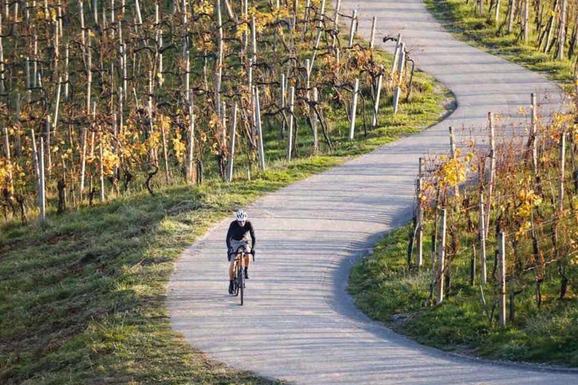 Road Cycling Weinstraßen Rock and Roll - Touren-Impression #1 | © Südsteiermark