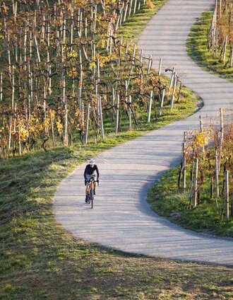 Weinlandhof Rennradtour 4, Herzerlstraße | Stiefkind Fotografie / www.stiefkind.at | © Südsteiermark