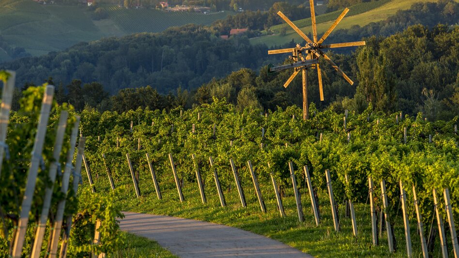 Wanderung Kleeblattwanderweg Nr. 3a - Wandern in Leutschach a.d.W. - Touren-Impression #2.3 | © TV Südsteiermark