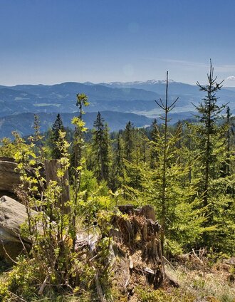 Blick ins Murtal | Weges OG | © Weges OG