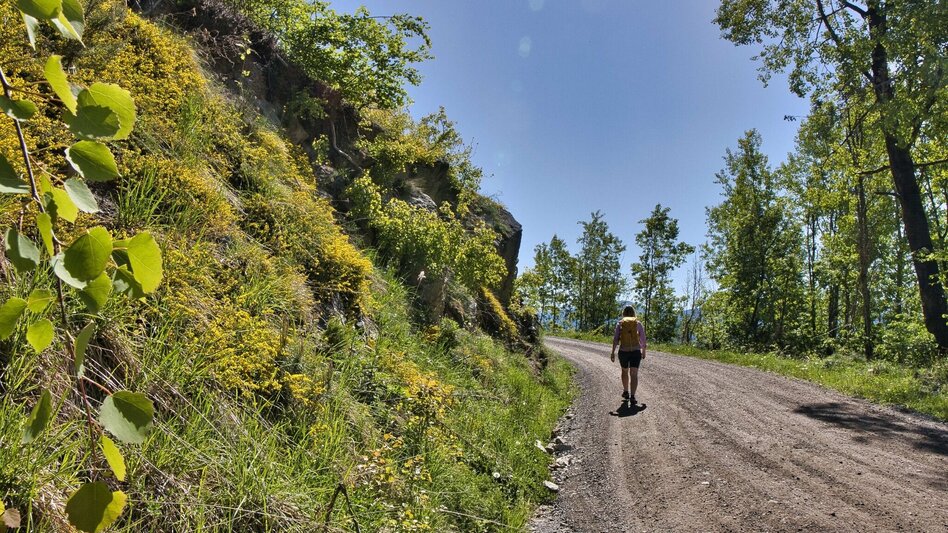 Wanderung Kraubatheck, 1475 m - Touren-Impression #2.6 | © Weges OG