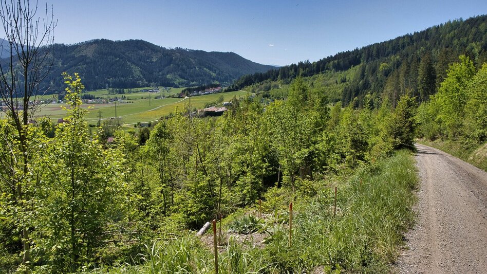 Wanderung Kraubatheck, 1475 m - Touren-Impression #2.7 | © Weges OG