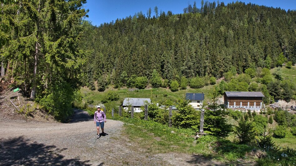 Wanderung Kraubatheck, 1475 m - Touren-Impression #2.8 | © Weges OG