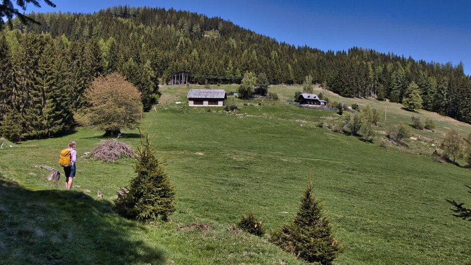 Wanderung Kraubatheck, 1475 m - Touren-Impression #2.9 | © Weges OG