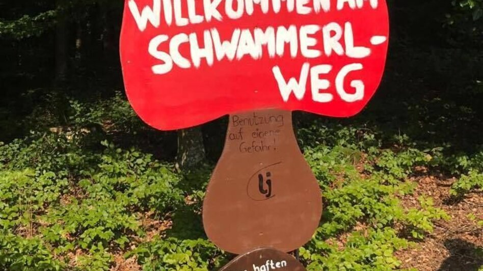 Wanderung Schwammerlweg Hatzendorf - Touren-Impression #2.2 | © Landjugend Hatzendorf