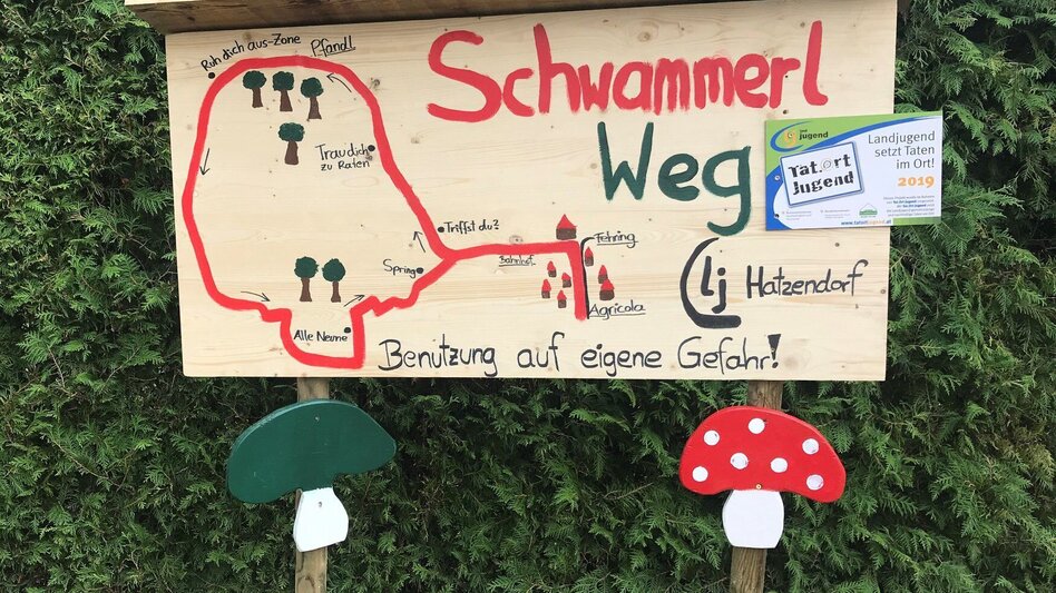 Wanderung Schwammerlweg Hatzendorf - Touren-Impression #2.1 | © Landjugend Hatzendorf