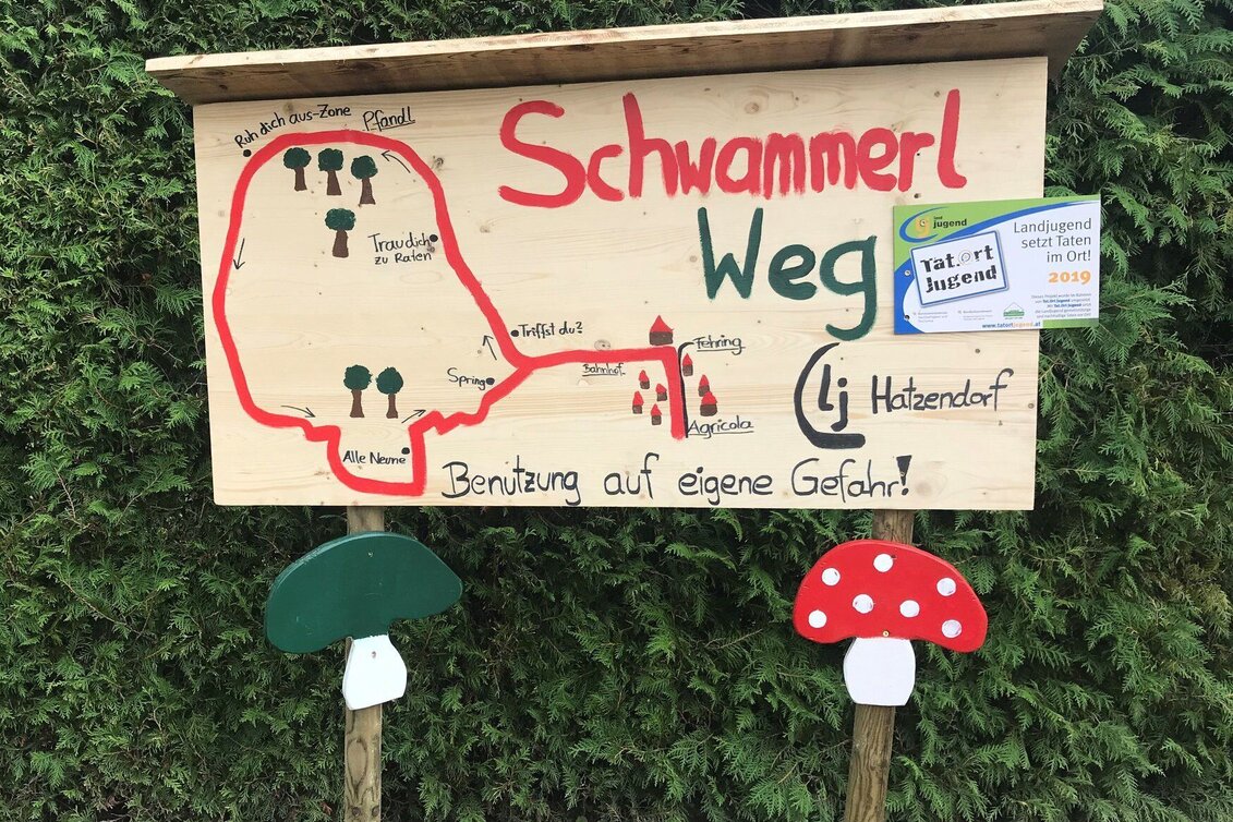 Wanderung Schwammerlweg Hatzendorf - Touren-Impression #1 | © Landjugend Hatzendorf