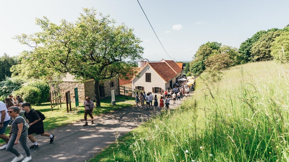 Wanderung Genusstour (Panoramaweg) Fehring - Touren-Impression #2.3 | © Stadtgemeinde Fehring