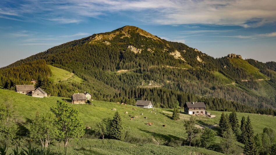Hiking route Stage 13: Pölzl Alpine Inn – Schwabenberg – Turnau - Touren-Impression #2.2 | © Schutzhaus Turnaueralm, Manuela Apuchtin