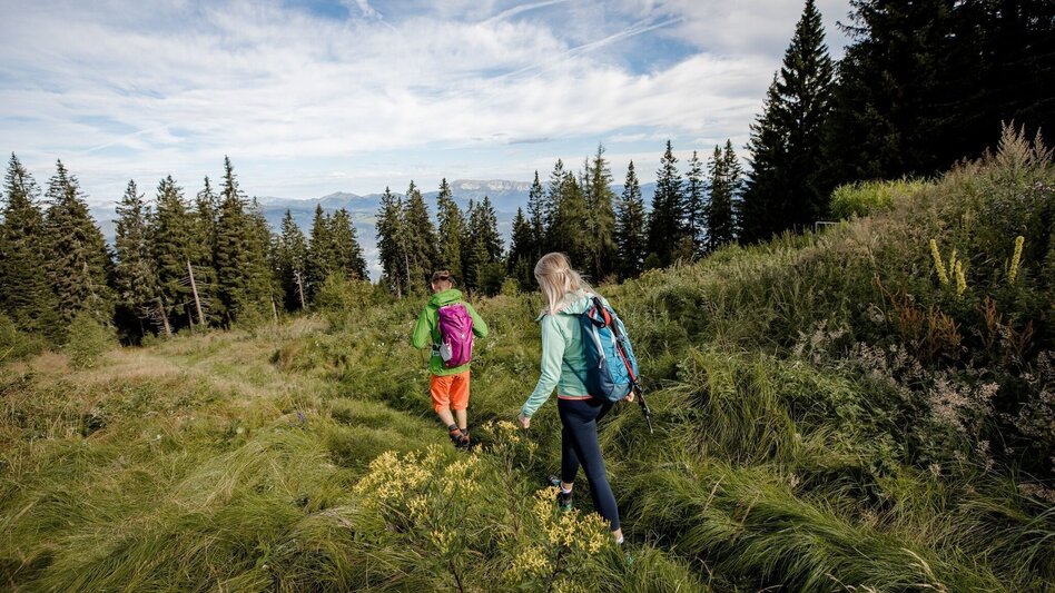 Hiking route Stage 12: Stanglam / Wittmaierhütte – Kindberg – Alpine Inn Pölzl (Schwammerlwirt) - Touren-Impression #2.1 | © Hochsteiermark