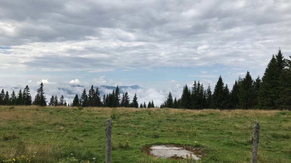 Hiking route Stage 12: Stanglam / Wittmaierhütte – Kindberg – Alpine Inn Pölzl (Schwammerlwirt) - Touren-Impression #2.2 | © TV Hochsteiermark