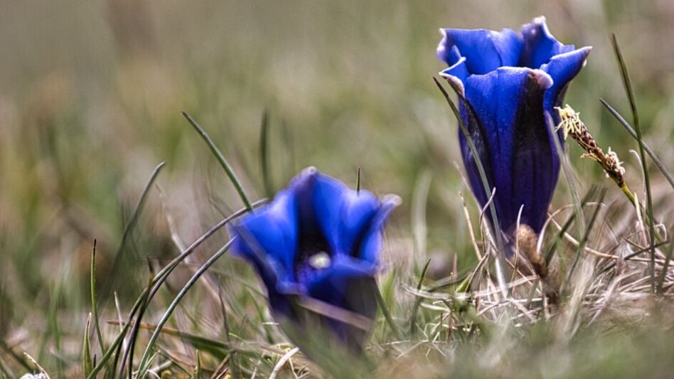 Hiking route Großeben-Runde mit Mariengruß - Touren-Impression #2.8
