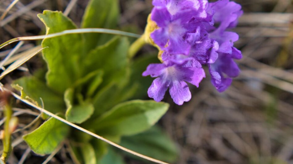 Hiking route Großeben-Runde mit Mariengruß - Touren-Impression #2.10