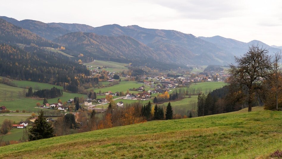Hiking route BergZeitReise Day Hike No. 14: Along the Jakobsweg near Turnau - Touren-Impression #2.3 | © TV Hochsteiermark