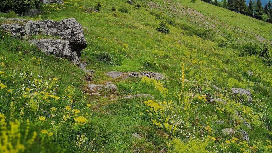 Hiking route BergZeitReise Day Hike No. 12: Hiking up to the Schwarzkogel - Touren-Impression #2.1 | © Yvonne Blengl
