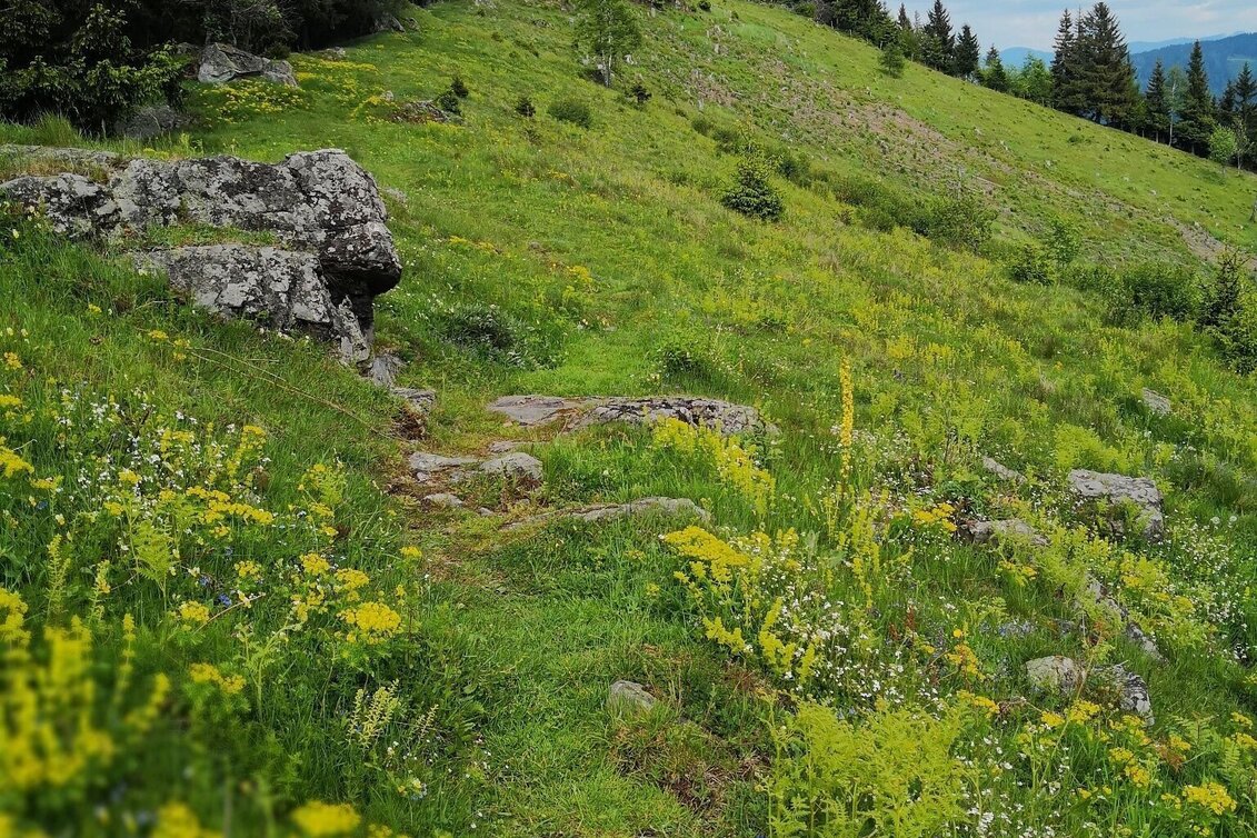 Hiking route BergZeitReise Day Hike No. 12: Hiking up to the Schwarzkogel - Touren-Impression #1 | © Yvonne Blengl