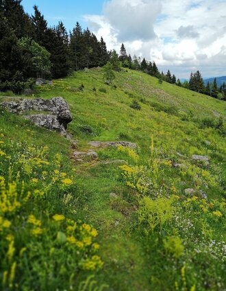 Am Brandnerkogel Richtung talwärts zur Eibeggerhütte | Nadja Roßpaintner | © Yvonne Blengl