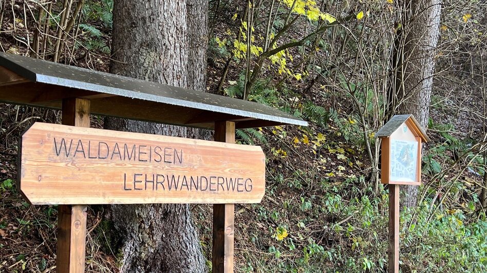 Hiking route Weg Nr. 5 Rundwanderweg Sender - Möderbach - Touren-Impression #2.1 | © Heidemaria Kainer