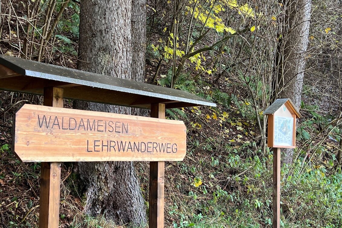 Hiking route Weg Nr. 5 Rundwanderweg Sender - Möderbach - Touren-Impression #1 | © Heidemaria Kainer