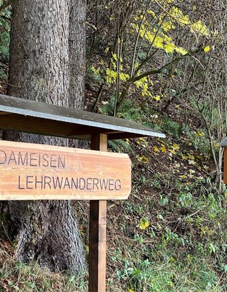 Ameisenweg-Pölstal-St.oswald-Mutal-Steiermark c Heidemaria Kainer.jpg | Heidemaria Kainer | © Heidemaria Kainer