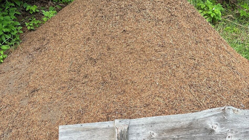 Hiking route Weg Nr. 5 Rundwanderweg Sender - Möderbach - Touren-Impression #2.2 | © Heidemaria Kainer