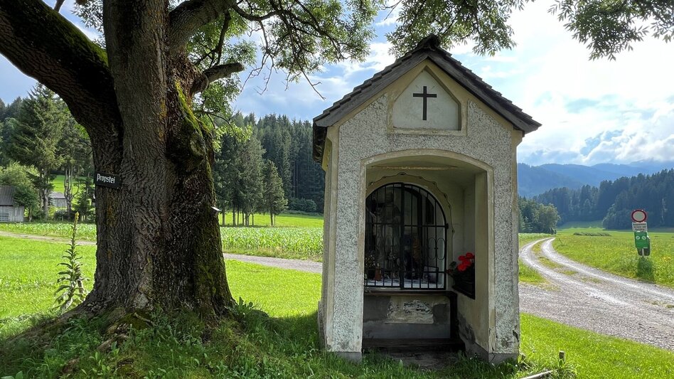 Hiking route Weg Nr. 5 Rundwanderweg Sender - Möderbach - Touren-Impression #2.3 | © Heidemaria Kainer
