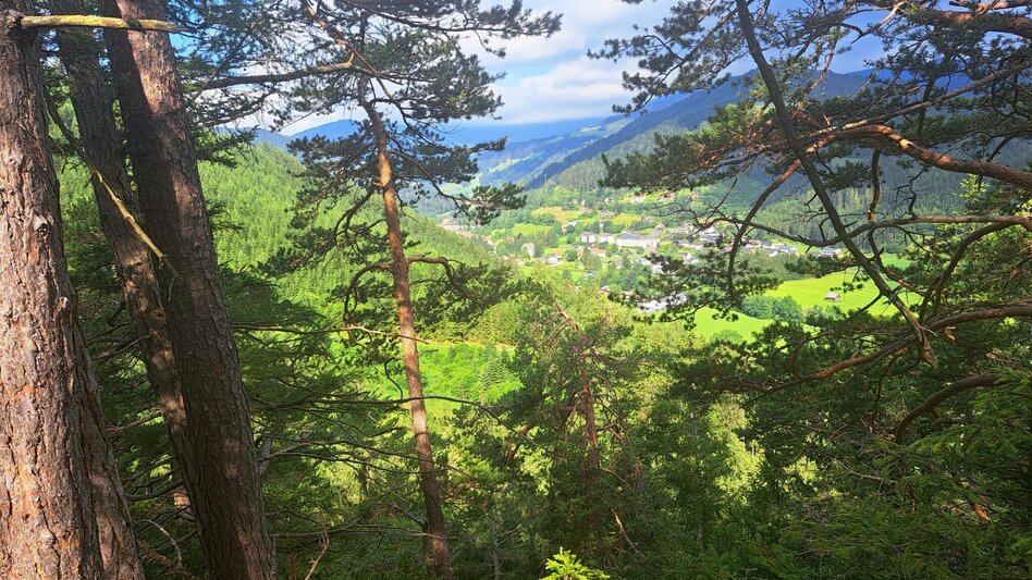 Hiking route Weg Nr. 1 Franz-Josef-Höhe - Touren-Impression #2.1 | © Hannes Steiner