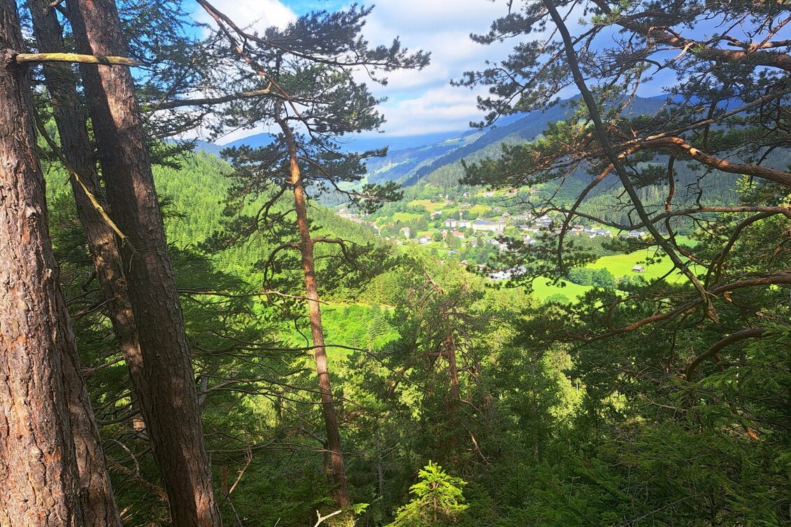 Hiking route Weg Nr. 1 Franz-Josef-Höhe - Touren-Impression #1 | © Hannes Steiner