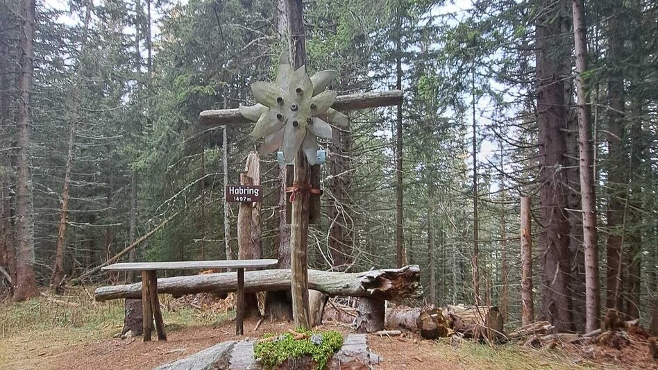 Hiking route Weg Nr. 3 Habring Runde - Touren-Impression #2.2 | © Hannes Steiner