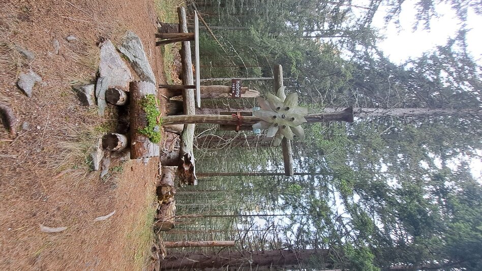 Hiking route Weg Nr. 3 Habring Runde - Touren-Impression #2.3 | © Hannes Steiner