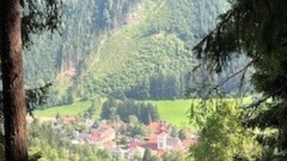Wanderung Weg Nr. 4 Runde übern Hoanzl - Touren-Impression #2.1 | © Heidemaria Kainer