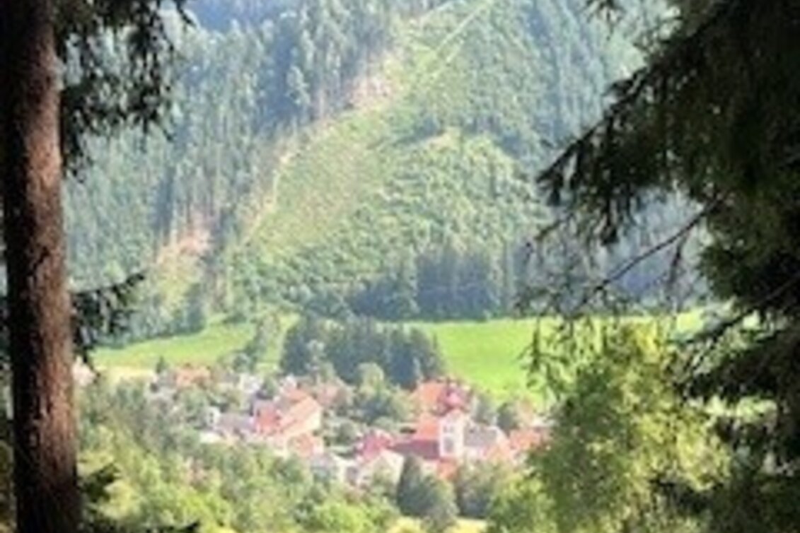 Wanderung Weg Nr. 4 Runde übern Hoanzl - Touren-Impression #1 | © Heidemaria Kainer