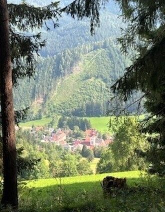 Hoanzlweg_Heidi Kainer.jpg | Heidemaria Kainer | © Heidemaria Kainer