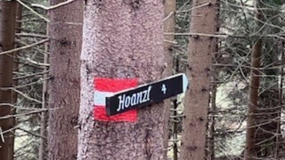 Wanderung Weg Nr. 4 Runde übern Hoanzl - Touren-Impression #2.4 | © Heidemaria Kainer