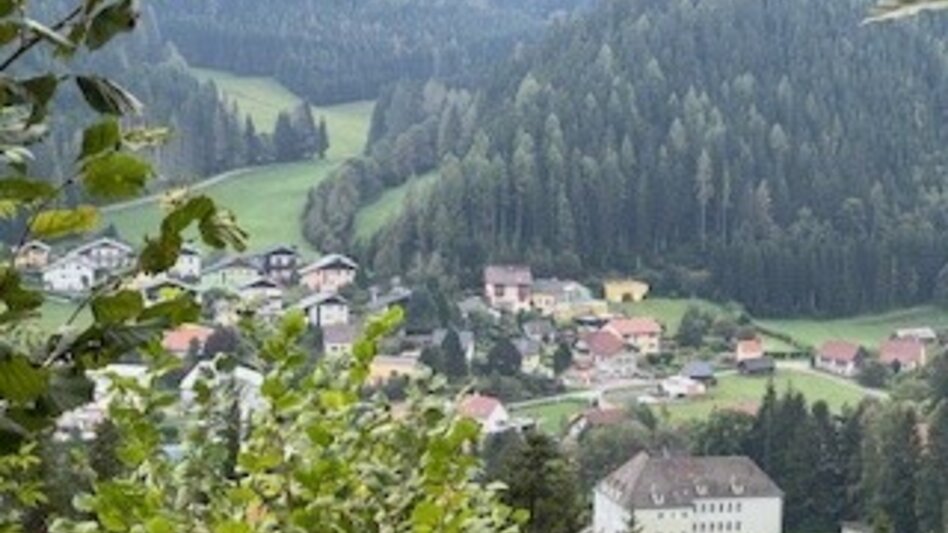 Wanderung Weg Nr. 4 Runde übern Hoanzl - Touren-Impression #2.9 | © Heidemaria Kainer