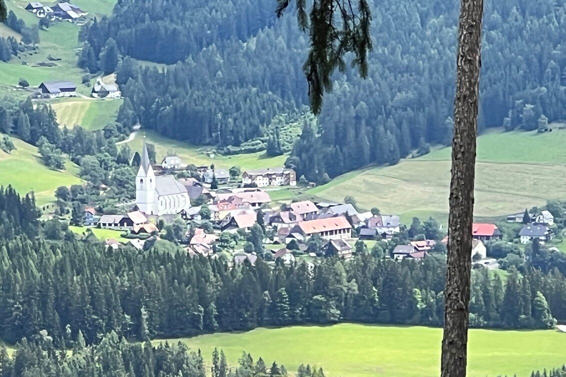 Wanderung Weg Nr. 6 Tatscherrunde - Touren-Impression #1 | © Heidemaria Kainer