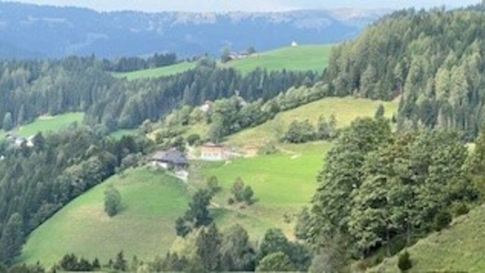 Wanderung Weg Nr. 6 Tatscherrunde - Touren-Impression #2.4 | © Heidemaria Kainer