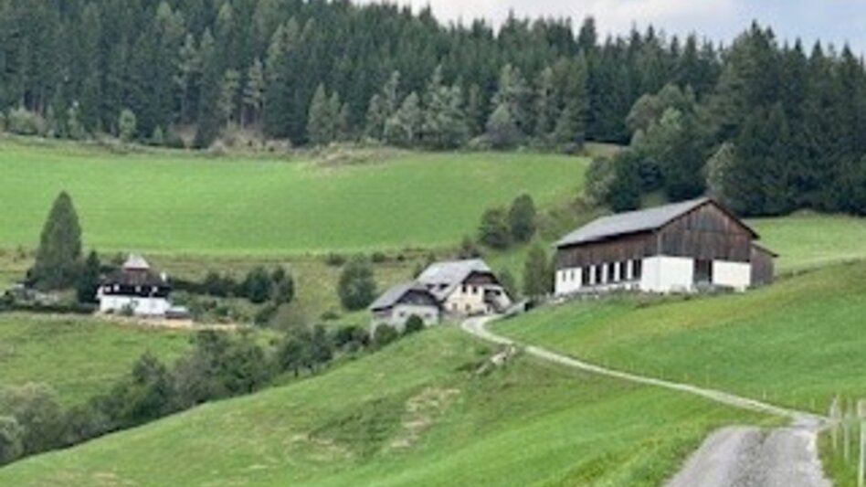 Wanderung Weg Nr. 6 Tatscherrunde - Touren-Impression #2.5 | © Heidemaria Kainer