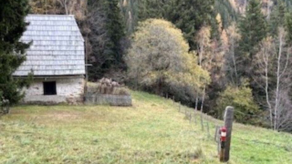 Wanderung Weg Nr. 6 Tatscherrunde - Touren-Impression #2.7 | © Heidemaria Kainer